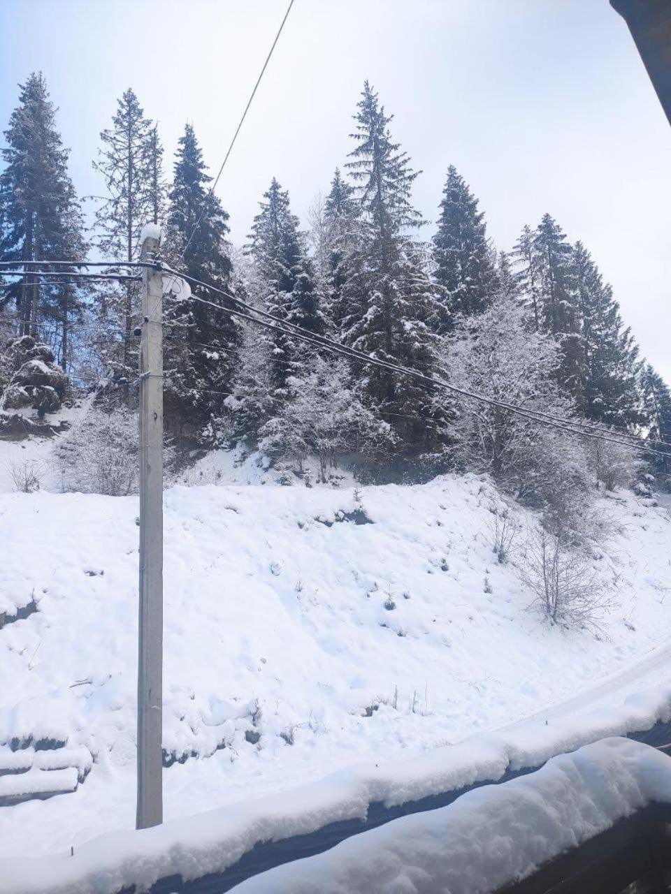 Біля Витягу Slavskoje Rom bilde